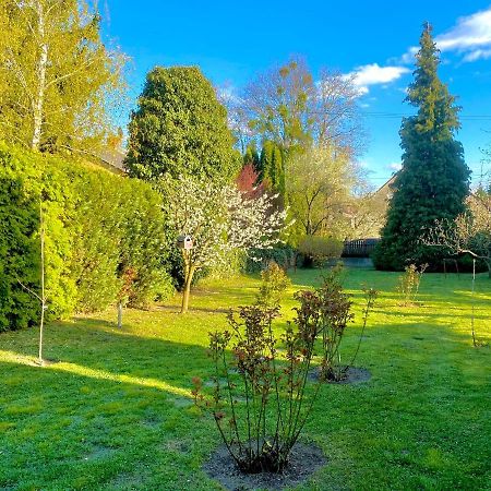 Roselio Garden Lejlighed Hévíz Eksteriør billede